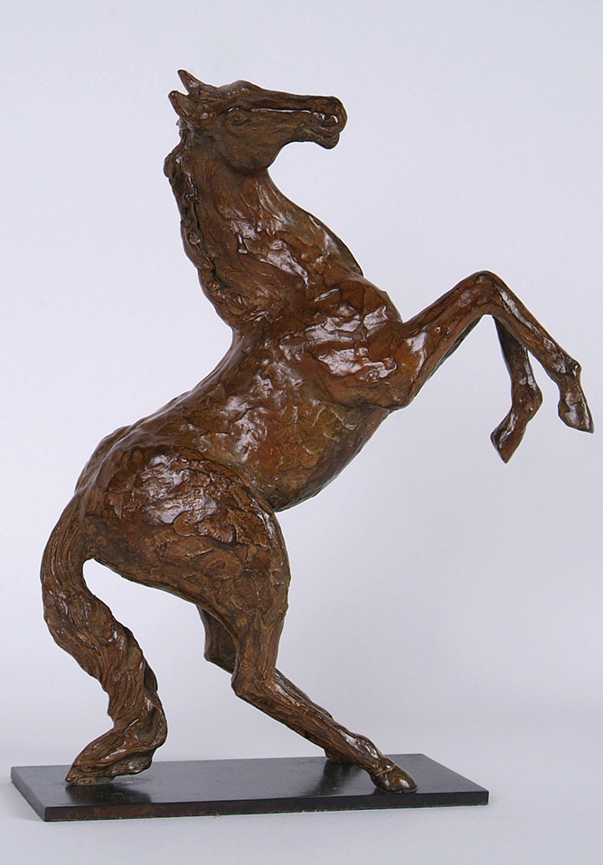 Petit Cheval (profil D) bronze dim 33x25x8cm